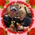 Bernard F. Robert Jr.'s profile image