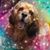 Missy Henning's profile image