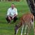 Peter Maassmann's profile image