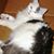 Leanne Cottrell's profile image