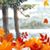 Margaret McKimmy Malcolm's profile image