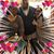 Stephanie Phillips's profile image