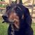 Eddy Delacruz's profile image