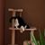 Marla Susanne's profile image