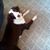 LouAnn Lawens's profile image