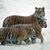 Dawn Morris's profile image
