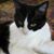 Kim Price Casaceli's profile image
