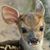 Teanna Rose's profile image