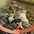 Catherine Willie's profile image