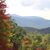 Holly Sayre Thomas's profile image
