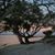 Cindy Micas's profile image