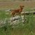 Stephanie Pinkham's profile image