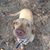 Kristie Wilson Huff's profile image