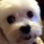 Michelle Myers McDaniel's profile image