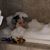 Stephanie Huynh's profile image