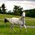 Monica Richards's profile image