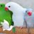 Lillian Valverde's profile image
