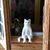 Sarah Kelley's profile image