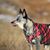Lori Brown's profile image