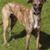Janice Brinegar's profile image