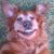 Jerry Christenson's profile image