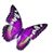 Patricia Shiver Petticord's profile image
