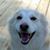 Anita Smith-Westphal's profile image