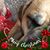 Theresa Barraclough's profile image