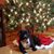 Wendy Ganther's profile image