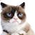 Beth Holmes's profile image