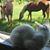 Ann Adams's profile image