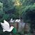 Caroline Williams Pfefferkorn's profile image