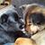 Jeanine Richard's profile image