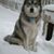 Michael W. Barfield's profile image