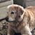 Pat Haddick's profile image