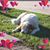 Michele Dressell's profile image