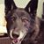 Mary Mattson's profile image