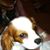 Michael Snapp's profile image