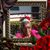 Dottie Miles's profile image