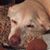 Ellen Dixon's profile image