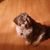 Terri Thompson's profile image