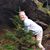 Candy Balko Martin's profile image