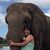 Lara Visser's profile image