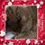 Rod Gandy's profile image