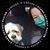 April Hauck's profile image