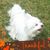 Deanne Arnath's profile image