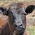 Marie Cloyd's profile image