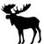 Ryan Marten's profile image