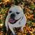 Linae Vander Wege Newland-Hartwig's profile image