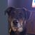 Karen Baldwin's profile image